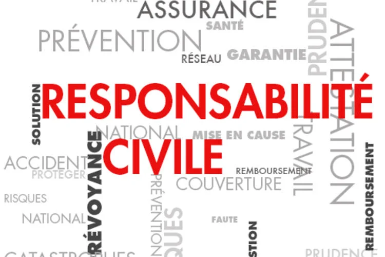 découvrez tout ce que vous devez savoir sur la responsabilité civile : ses enjeux, ses différents types, et son importance dans la protection juridique des individus et des entreprises.